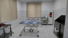 First largest and most modern veterinary clinic in S.Caucasus in Baku already receiving applications - Trend TV (PHOTO/VIDEO)
