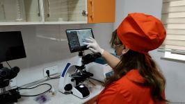 First largest and most modern veterinary clinic in S.Caucasus in Baku already receiving applications - Trend TV (PHOTO/VIDEO)