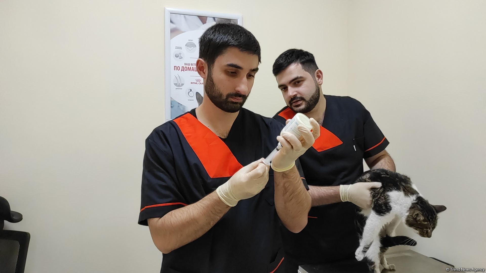 First largest and most modern veterinary clinic in S.Caucasus in Baku already receiving applications - Trend TV (PHOTO/VIDEO)