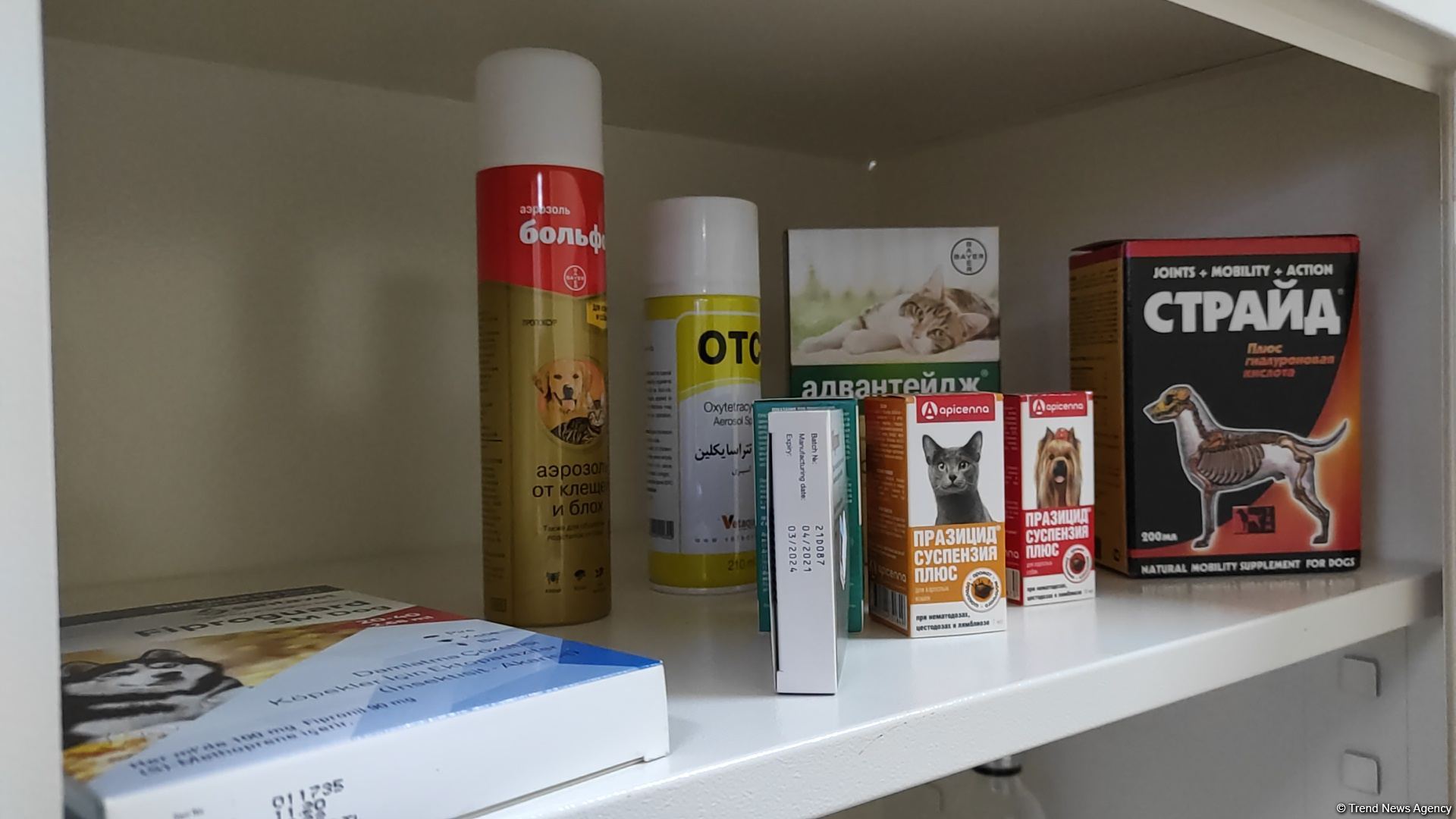 First largest and most modern veterinary clinic in S.Caucasus in Baku already receiving applications - Trend TV (PHOTO/VIDEO)