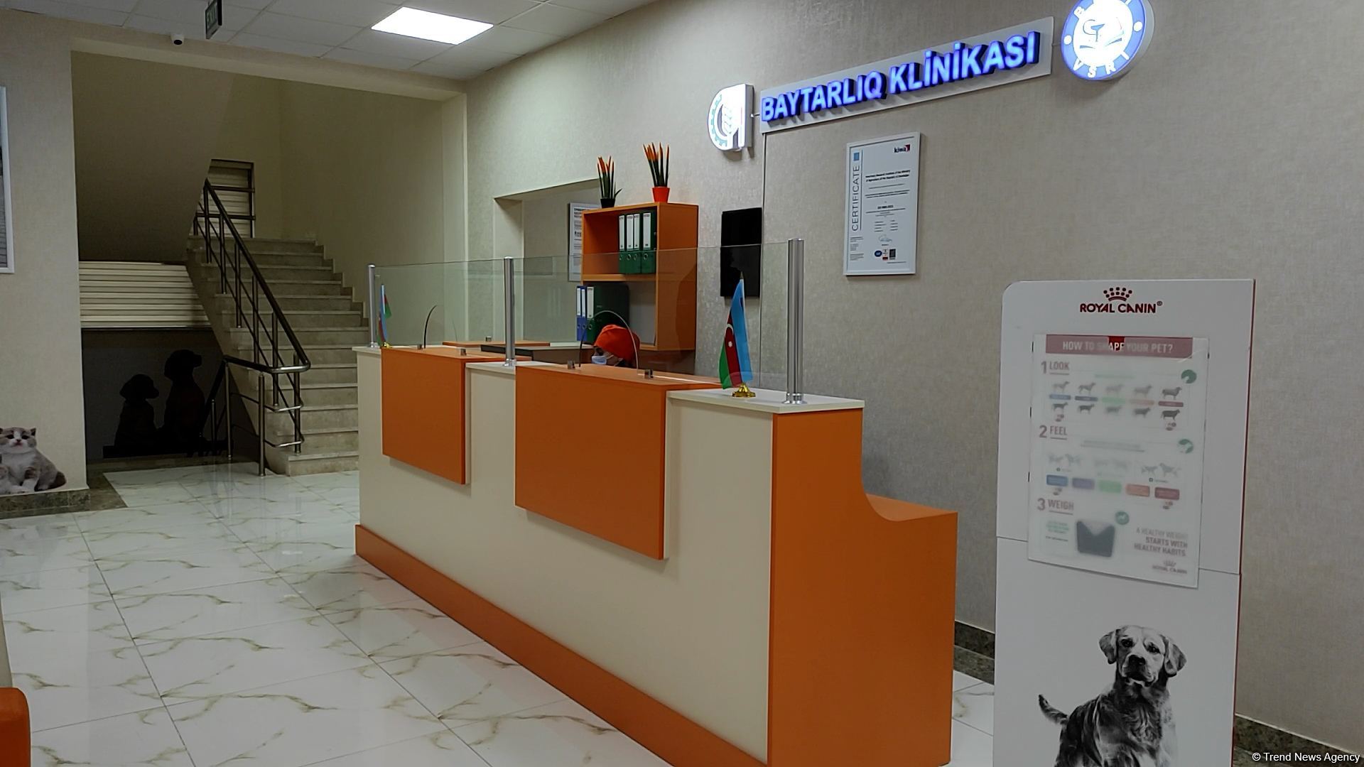 First largest and most modern veterinary clinic in S.Caucasus in Baku already receiving applications - Trend TV (PHOTO/VIDEO)