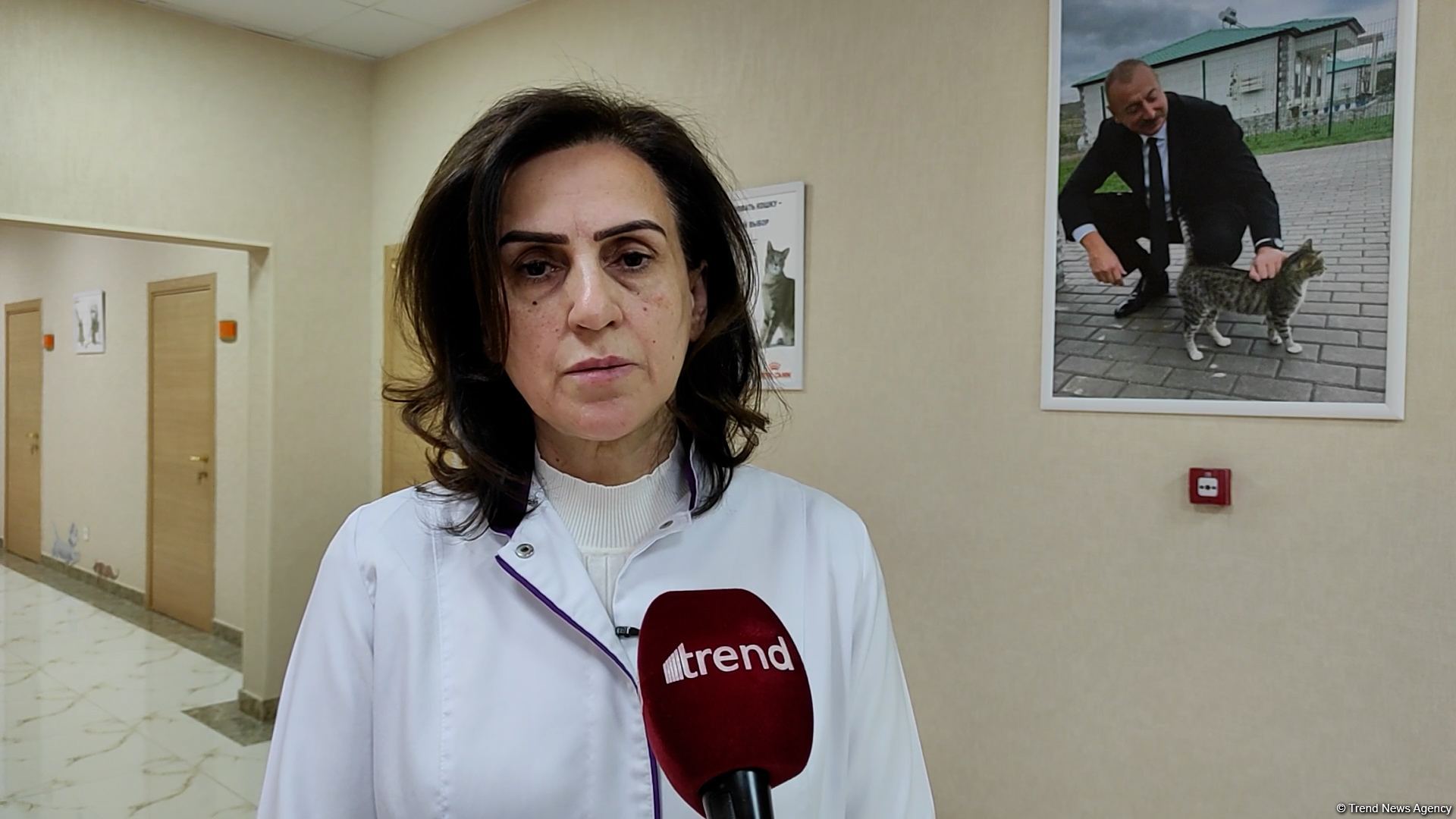 First largest and most modern veterinary clinic in S.Caucasus in Baku already receiving applications - Trend TV (PHOTO/VIDEO)