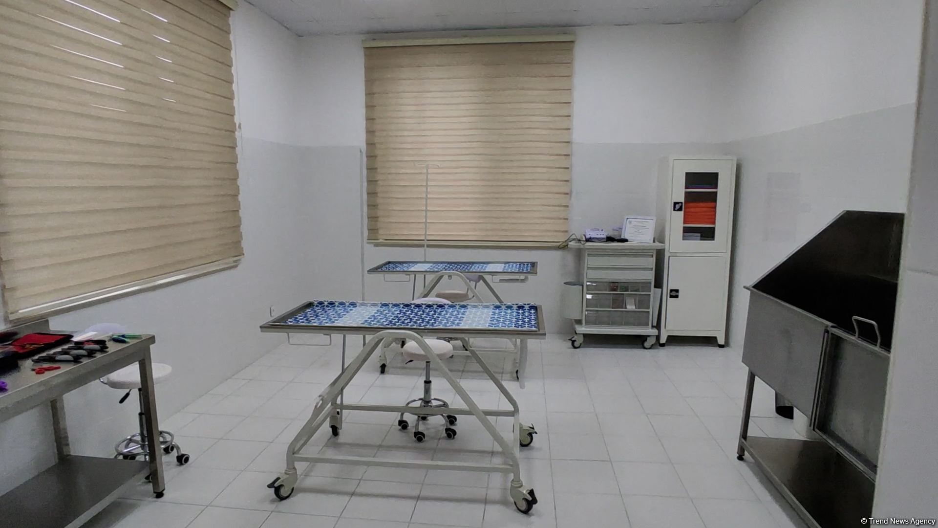 First largest and most modern veterinary clinic in S.Caucasus in Baku already receiving applications - Trend TV (PHOTO/VIDEO)