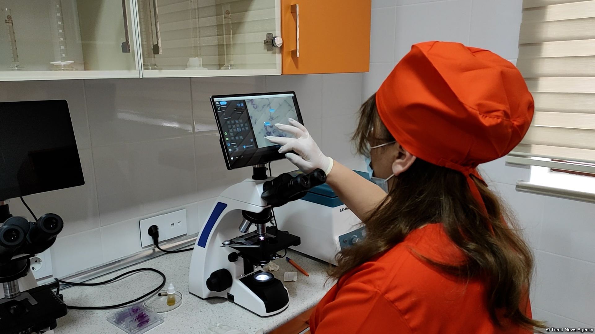First largest and most modern veterinary clinic in S.Caucasus in Baku already receiving applications - Trend TV (PHOTO/VIDEO)