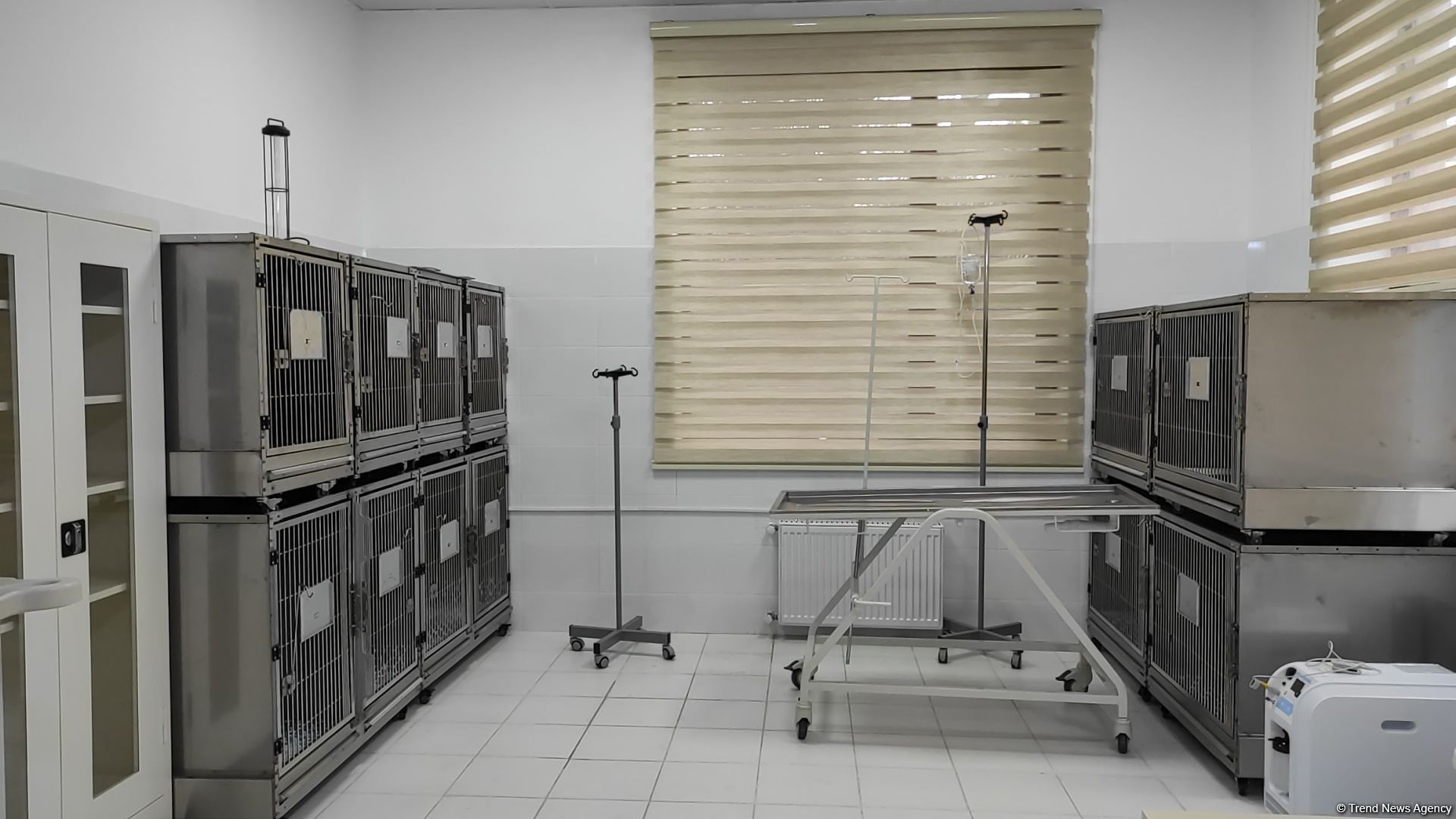 First largest and most modern veterinary clinic in S.Caucasus in Baku already receiving applications - Trend TV (PHOTO/VIDEO)