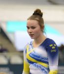 Best moments of first day of Trampoline World Cup in Baku (PHOTO)