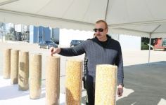 President Ilham Aliyev and First Lady Mehriban Aliyeva view conditions created at Aghjabadi Grain Agropark (PHOTO/VIDEO)