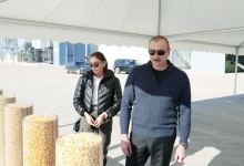 President Ilham Aliyev and First Lady Mehriban Aliyeva view conditions created at Aghjabadi Grain Agropark (PHOTO/VIDEO)