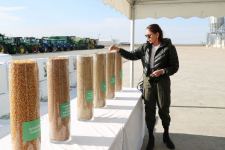 President Ilham Aliyev and First Lady Mehriban Aliyeva view conditions created at Aghjabadi Grain Agropark (PHOTO/VIDEO)
