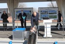 Azerbaijani President Ilham Aliyev, First Lady Mehriban Aliyeva visit Aghdam district (PHOTO/VIDEO)