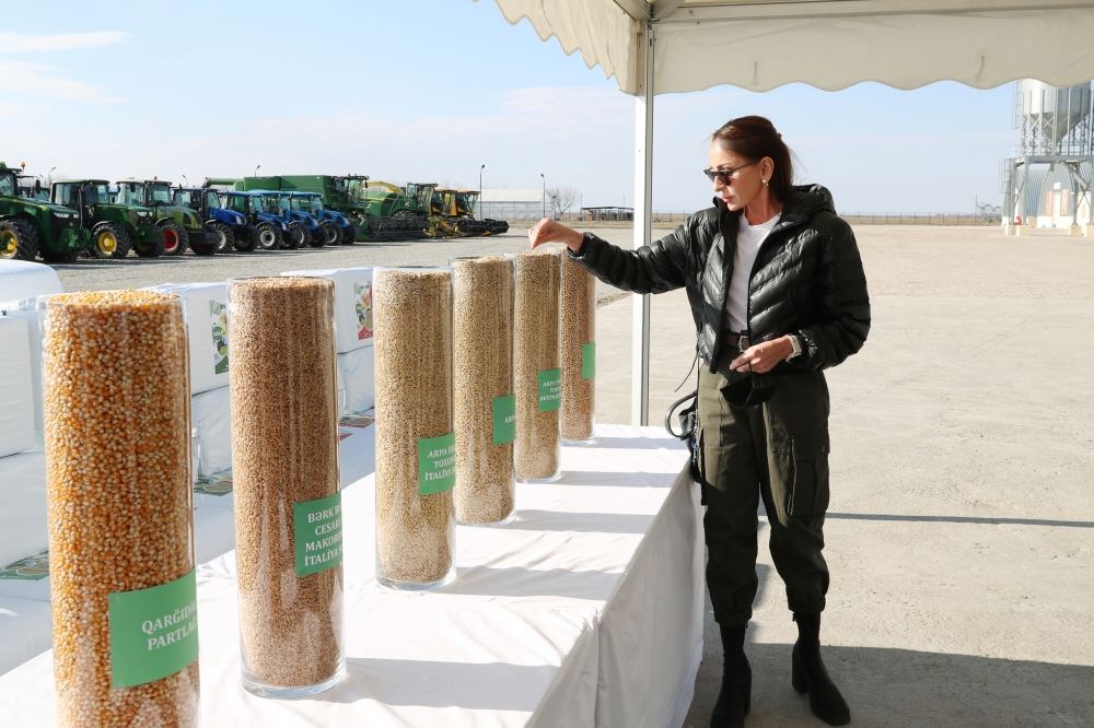 President Ilham Aliyev and First Lady Mehriban Aliyeva view conditions created at Aghjabadi Grain Agropark (PHOTO/VIDEO)