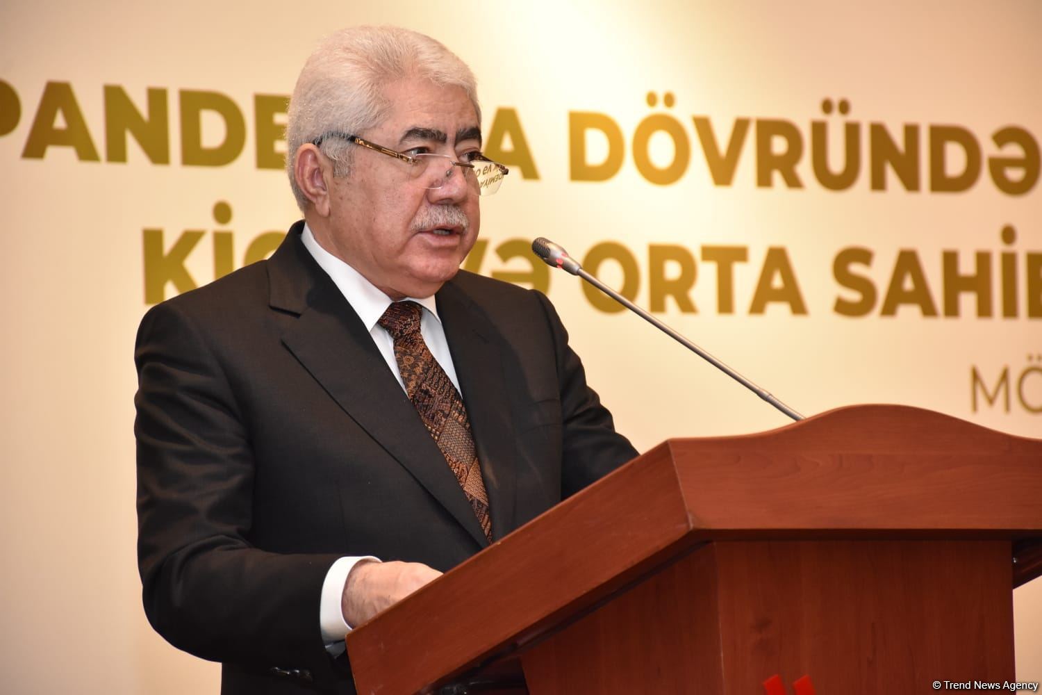 Azerbaijani government cooperating with SMBDA to create new business support tools
