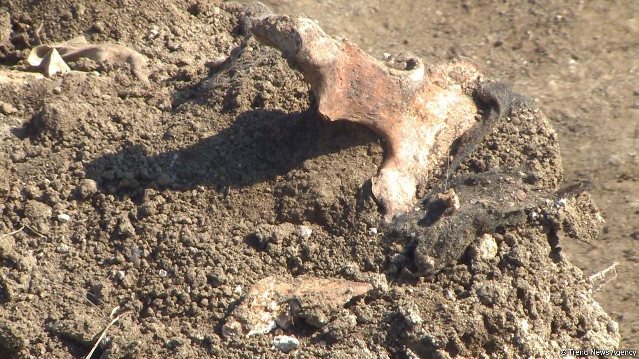 Azerbaijan finds mass grave in Khojavand district (PHOTO)