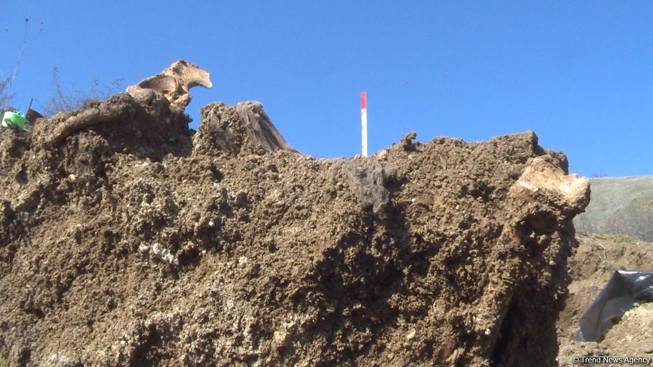 Azerbaijan finds mass grave in Khojavand district (PHOTO)