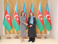 First Vice-President Mehriban Aliyeva meets with UK Prime Minister's Trade Envoy to Azerbaijan (PHOTO/VIDEO)