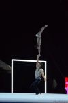 Azerbaijani gymnasts demonstrate balance exercise at World Championships in Baku (PHOTO)