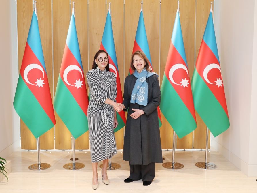 First Vice-President Mehriban Aliyeva meets with UK Prime Minister's Trade Envoy to Azerbaijan (PHOTO/VIDEO)