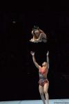 Finals in second day of Acrobatic Gymnastics World Championships in Baku kick offs (PHOTO)