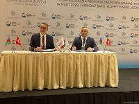 Turkish Insurance Association talks benefit of integrating Green Card systems with Azerbaijan (PHOTO)