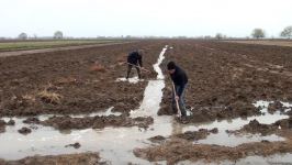 Farmers thank President Ilham Aliyev for artesian wells commissioned in Azerbaijani liberated territories (Trend TV)