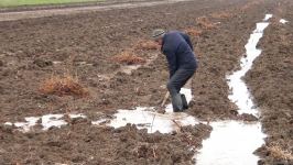 Farmers thank President Ilham Aliyev for artesian wells commissioned in Azerbaijani liberated territories (Trend TV)