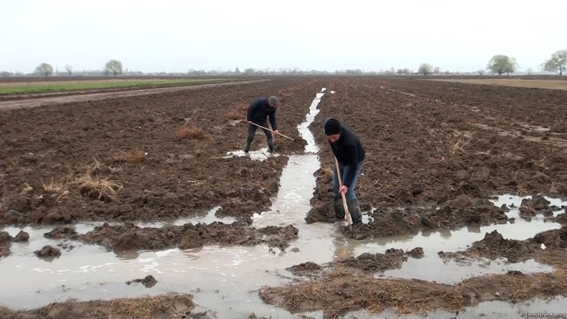 Farmers thank President Ilham Aliyev for artesian wells commissioned in Azerbaijani liberated territories (Trend TV)