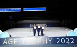 Winners of 27th Azerbaijan Championship in Rhythmic Gymnastics among seniors announced (PHOTO)