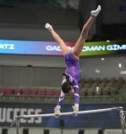Strength, flexibility and dexterity - Azerbaijan and Baku Artistic Gymnastics Championships continue (PHOTO)