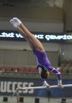 Strength, flexibility and dexterity - Azerbaijan and Baku Artistic Gymnastics Championships continue (PHOTO)