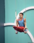 Strength, flexibility and dexterity - Azerbaijan and Baku Artistic Gymnastics Championships continue (PHOTO)