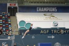 Strength, flexibility and dexterity - Azerbaijan and Baku Artistic Gymnastics Championships continue (PHOTO)
