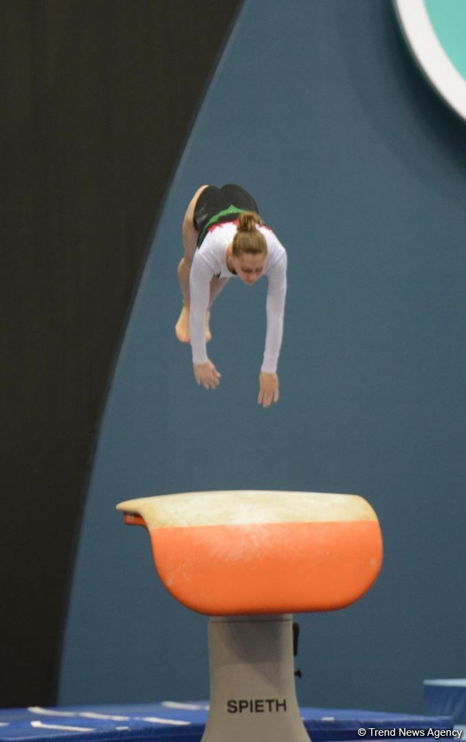 Strength, flexibility and dexterity - Azerbaijan and Baku Artistic Gymnastics Championships continue (PHOTO)