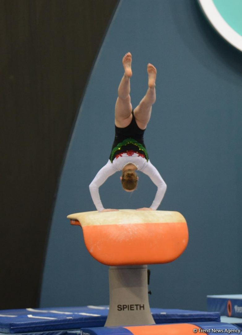 Strength, flexibility and dexterity - Azerbaijan and Baku Artistic Gymnastics Championships continue (PHOTO)