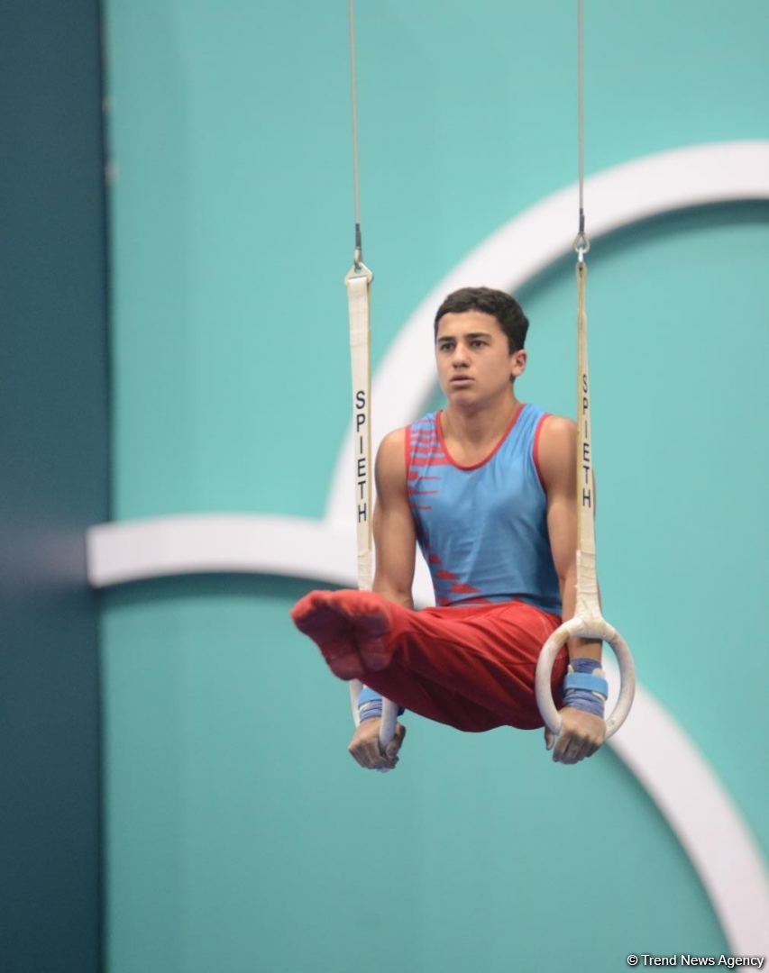 Strength, flexibility and dexterity - Azerbaijan and Baku Artistic Gymnastics Championships continue (PHOTO)