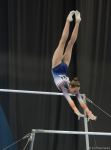 First day of FIG Artistic Gymnastics Apparatus World Cup starts in Baku (PHOTO)