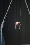 Azerbaijani gymnast wins bronze medal for ring exercises at FIG World Cup  (PHOTO)