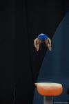 Final day of FIG World Cup in gymnastics starts in Azerbaijan’s Baku (PHOTO)