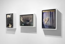 Liminality exhibition of famous Azerbaijani artist Aida Mahmudova opens in London (PHOTO)