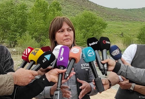 Azerbaijan calls on int'l organizations respond to Okhchuchay river's pollution by Armenia