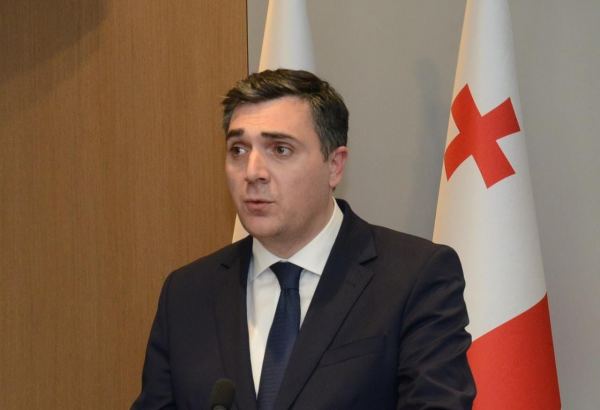 Georgian FM talks high-level trade and economic relations between Azerbaijan and Georgia