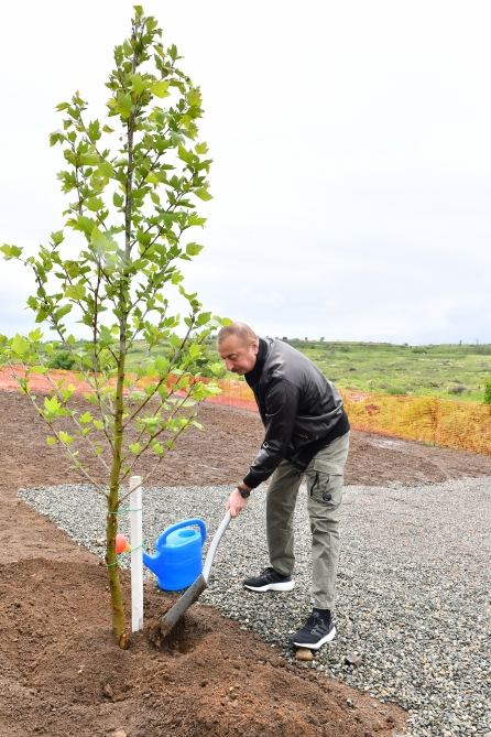 President Ilham Aliyev and First Lady Mehriban Aliyeva plant trees in park to be created in Fuzuli city (VIDEO)