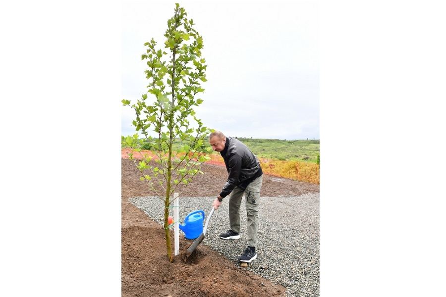 President Ilham Aliyev and First Lady Mehriban Aliyeva plant trees in park to be created in Fuzuli city (VIDEO)