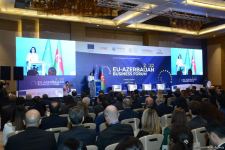 Number of EU companies wishing to invest in Azerbaijan’s Karabakh growing (PHOTO)
