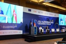 Number of EU companies wishing to invest in Azerbaijan’s Karabakh growing (PHOTO)