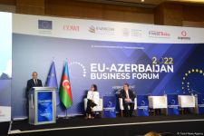 Number of EU companies wishing to invest in Azerbaijan’s Karabakh growing (PHOTO)