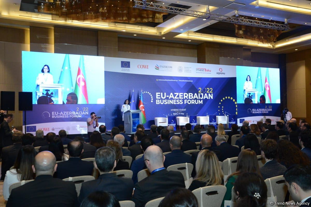 Number of EU companies wishing to invest in Azerbaijan’s Karabakh growing (PHOTO)