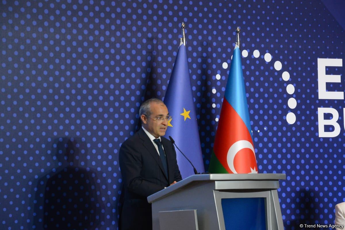 Number of EU companies wishing to invest in Azerbaijan’s Karabakh growing (PHOTO)