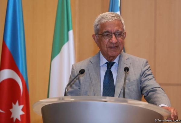 Azerbaijan's victory in second Karabakh War inspired whole Turkic world – rector of ADA university