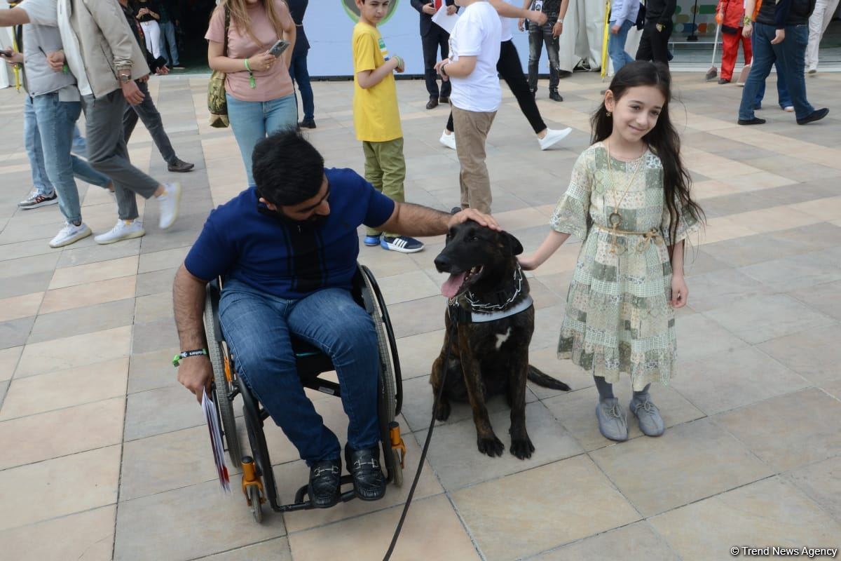 TEKNOFEST Int'l Aviation, Space & Technology Festival kicks off in Baku (PHOTO/VIDEO)