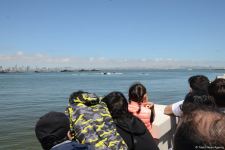 Specialized troops of Azerbaijani Navy forces perform various maneuvers within framework of TEKNOFEST festival in Baku (PHOTO/VIDEO)